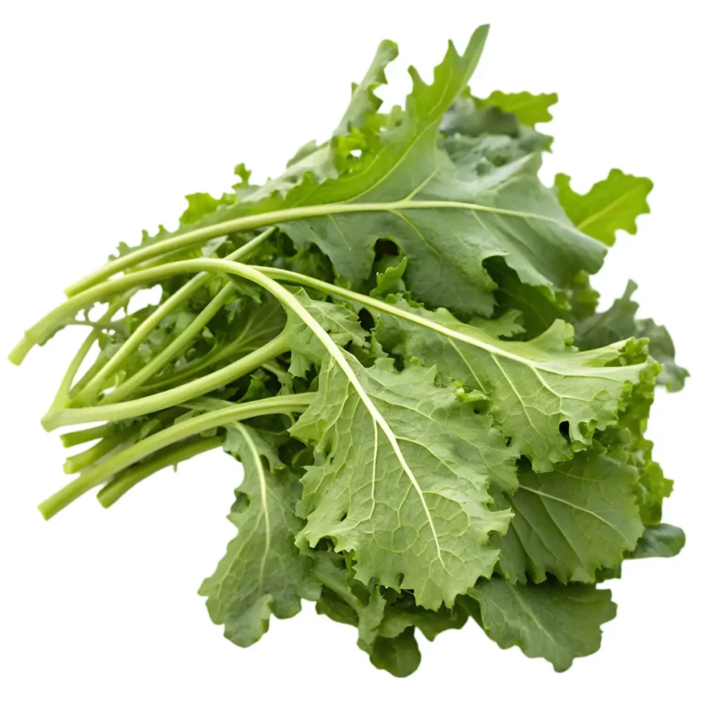 Arugula