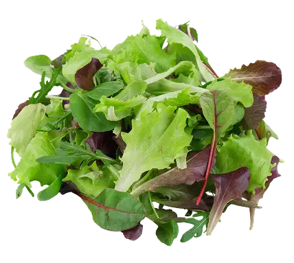 Spring Mix